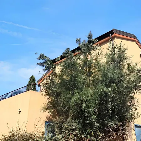 Hébergement de vacances Maison De 2 Avec Piscine Partagee Terrasse Amenagee Et Wifi A Belgodère